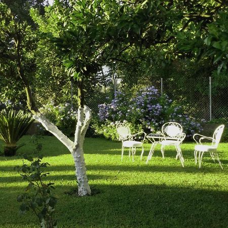 Casa Malu Boutique Apartments - No 1 Гувія Екстер'єр фото