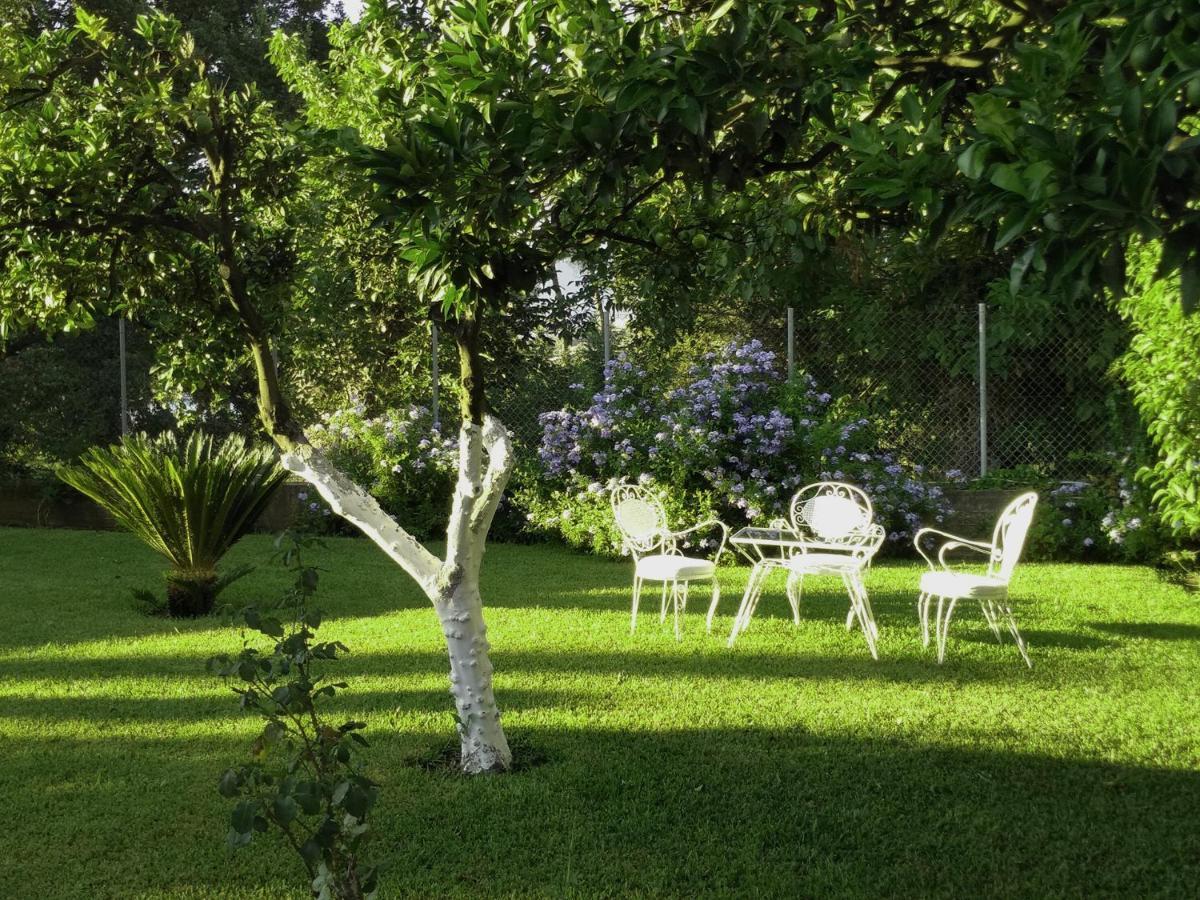 Casa Malu Boutique Apartments - No 1 Гувія Екстер'єр фото